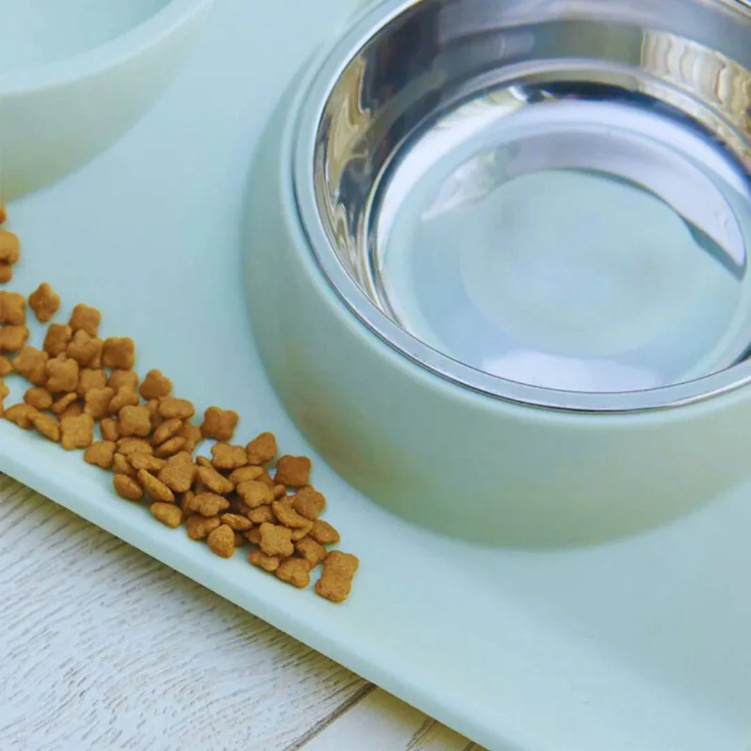 FressHöhe Premium – Premium Elevated Feeder for Dogs & Cats