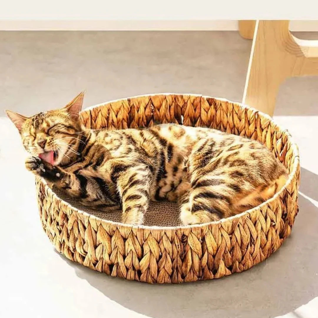 WillowDream – Wicker Cat Bed with Natural Sleeping Mat