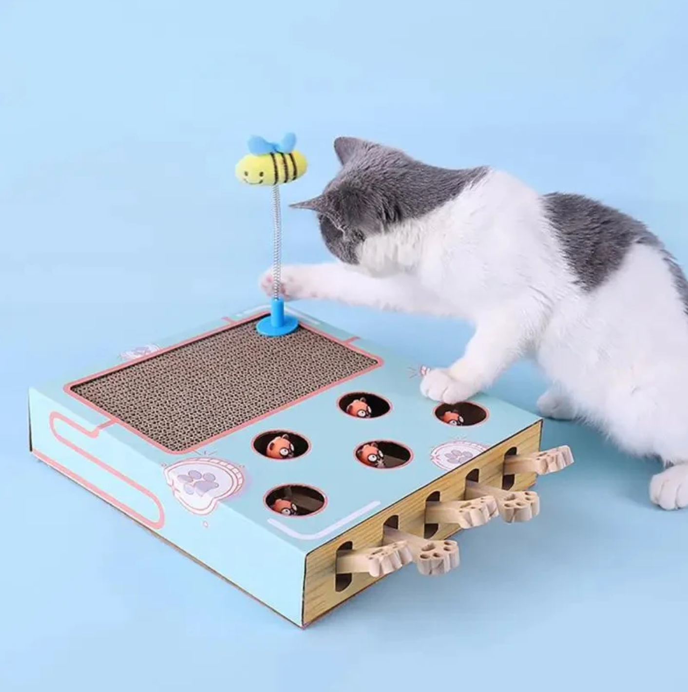 FelineQuest Adventure Box