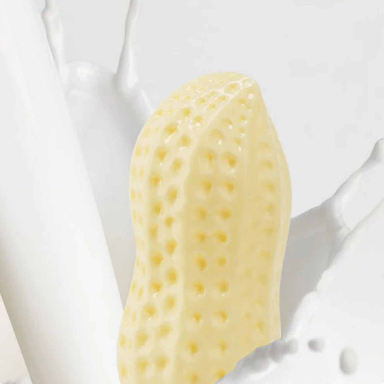 NutriChew Peanut Power Toy
