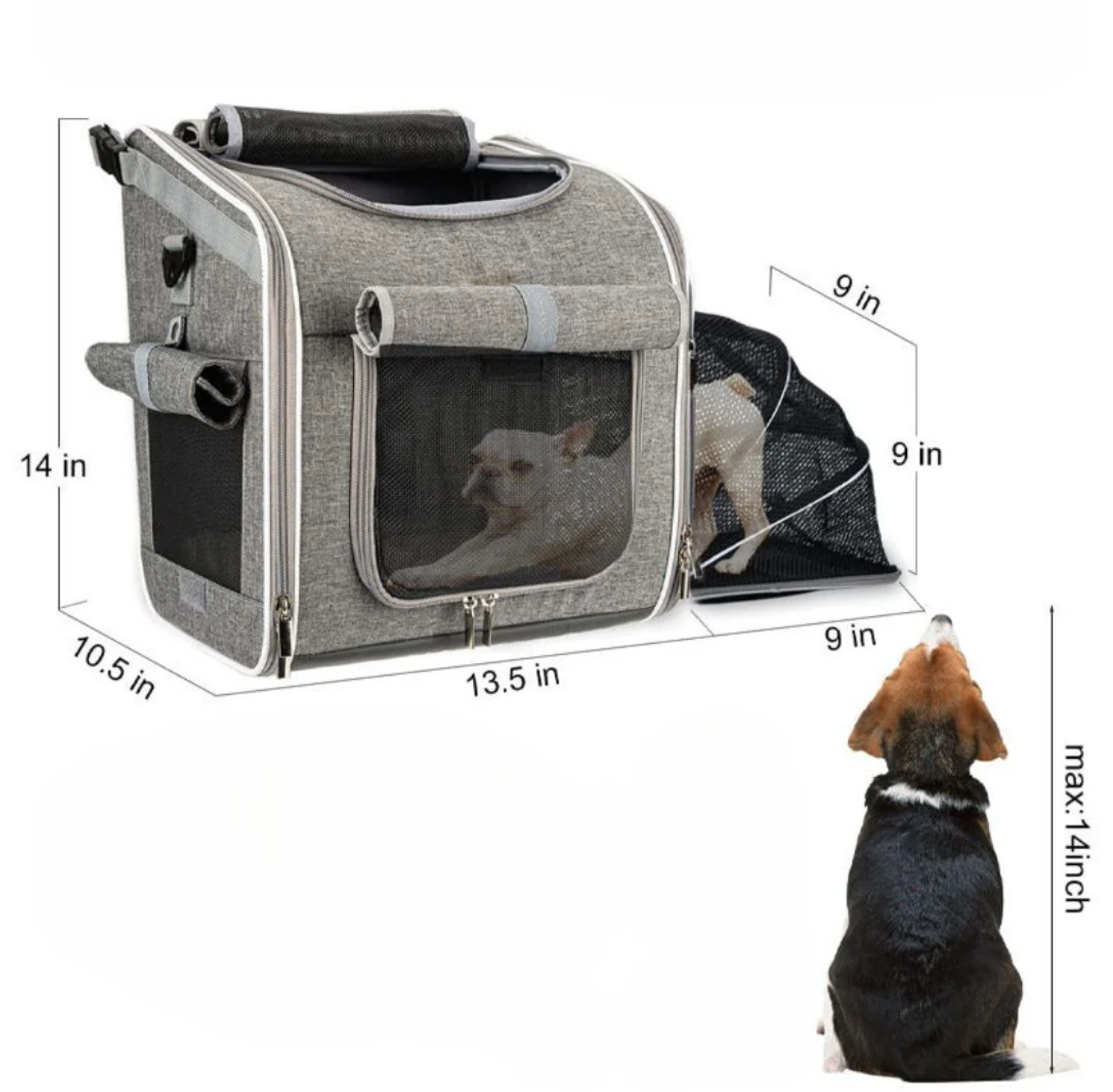 BikeBuddy 3-in-1 Pet Carrier