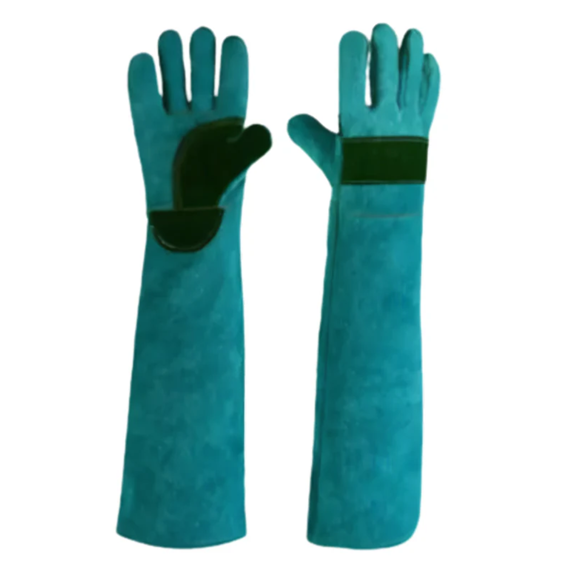 BiteShield Interactive-Chew