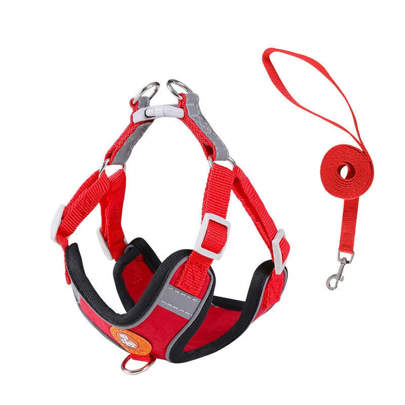 AeroStride Soft-Flex Harness & Leash Set