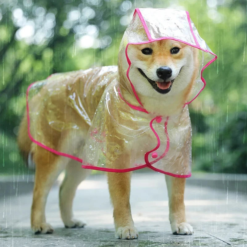 Clear Waterproof Raincoat