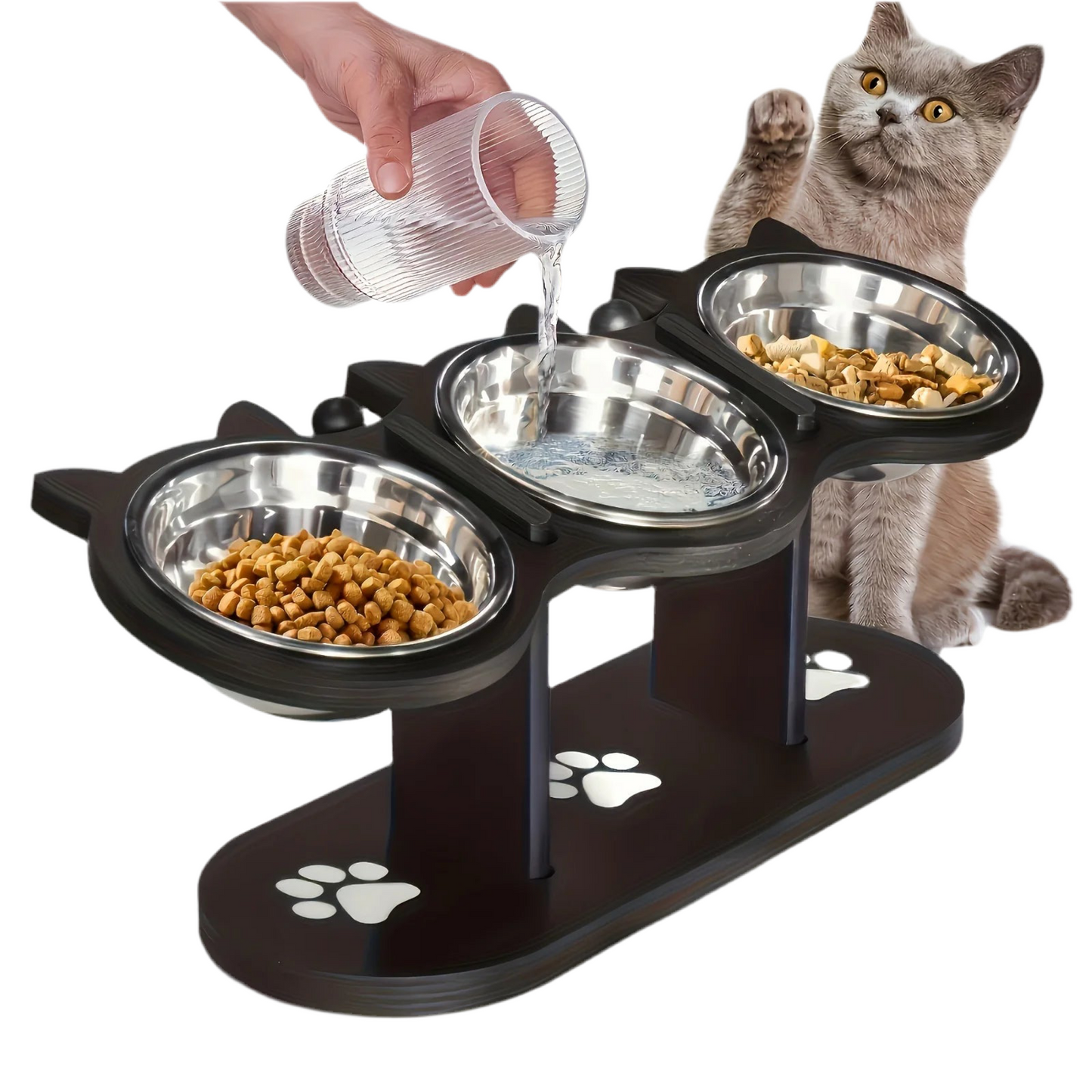 Adjustable 15° Tilted Pet Bowl