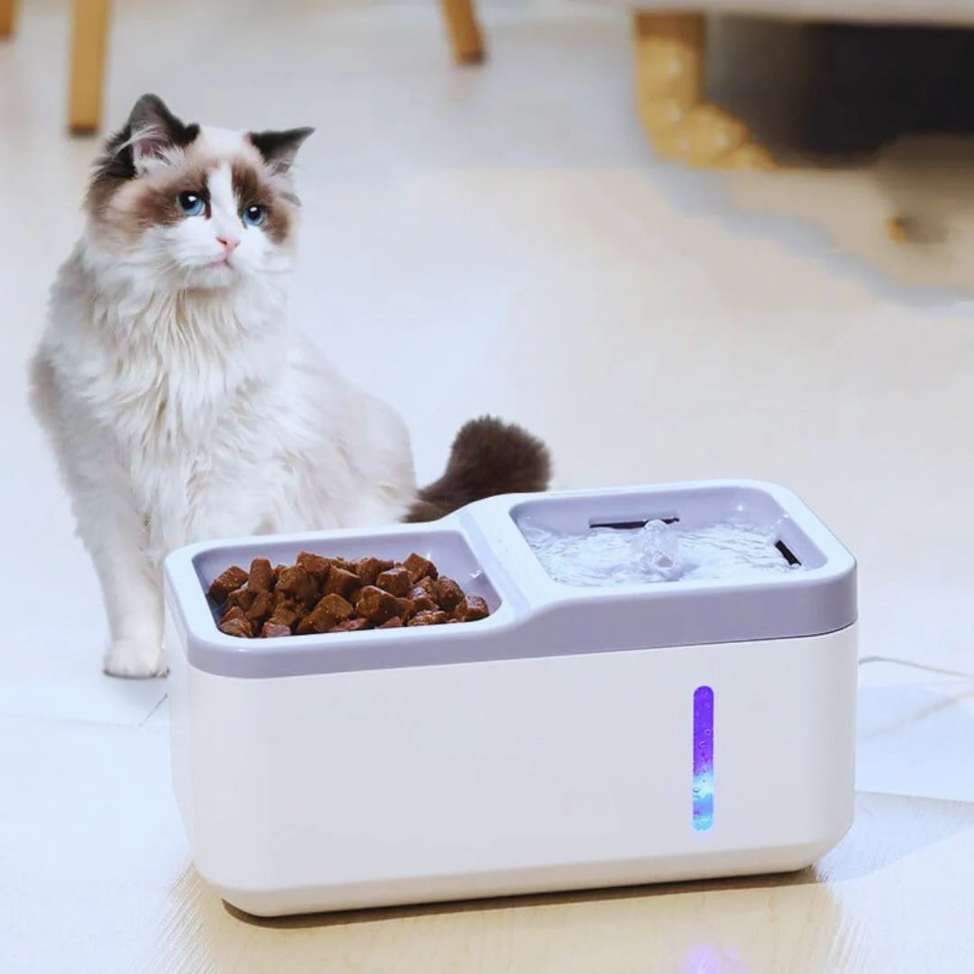 SupplyPro – Automatic Food & Water Dispenser