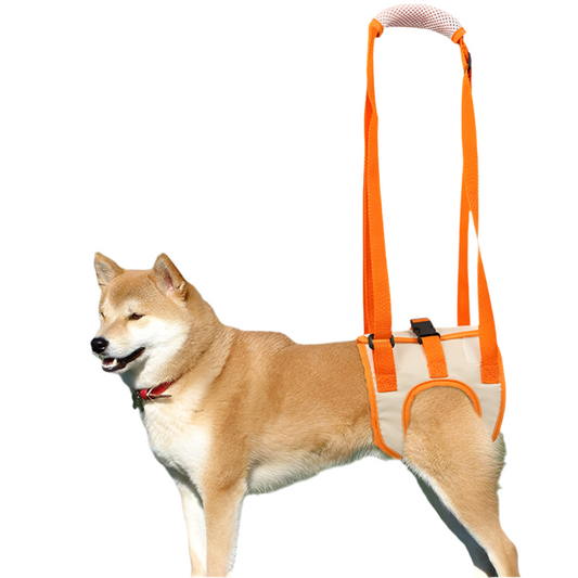 Adjustable Dog Lift Harness & Mobility Sling