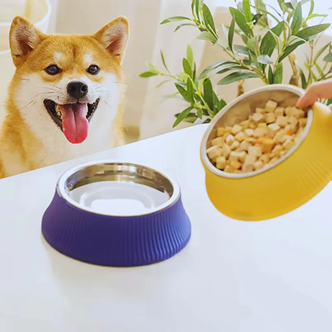 FeastBowl – Stainless Steel Bowl with Non-Slip Silicone Base