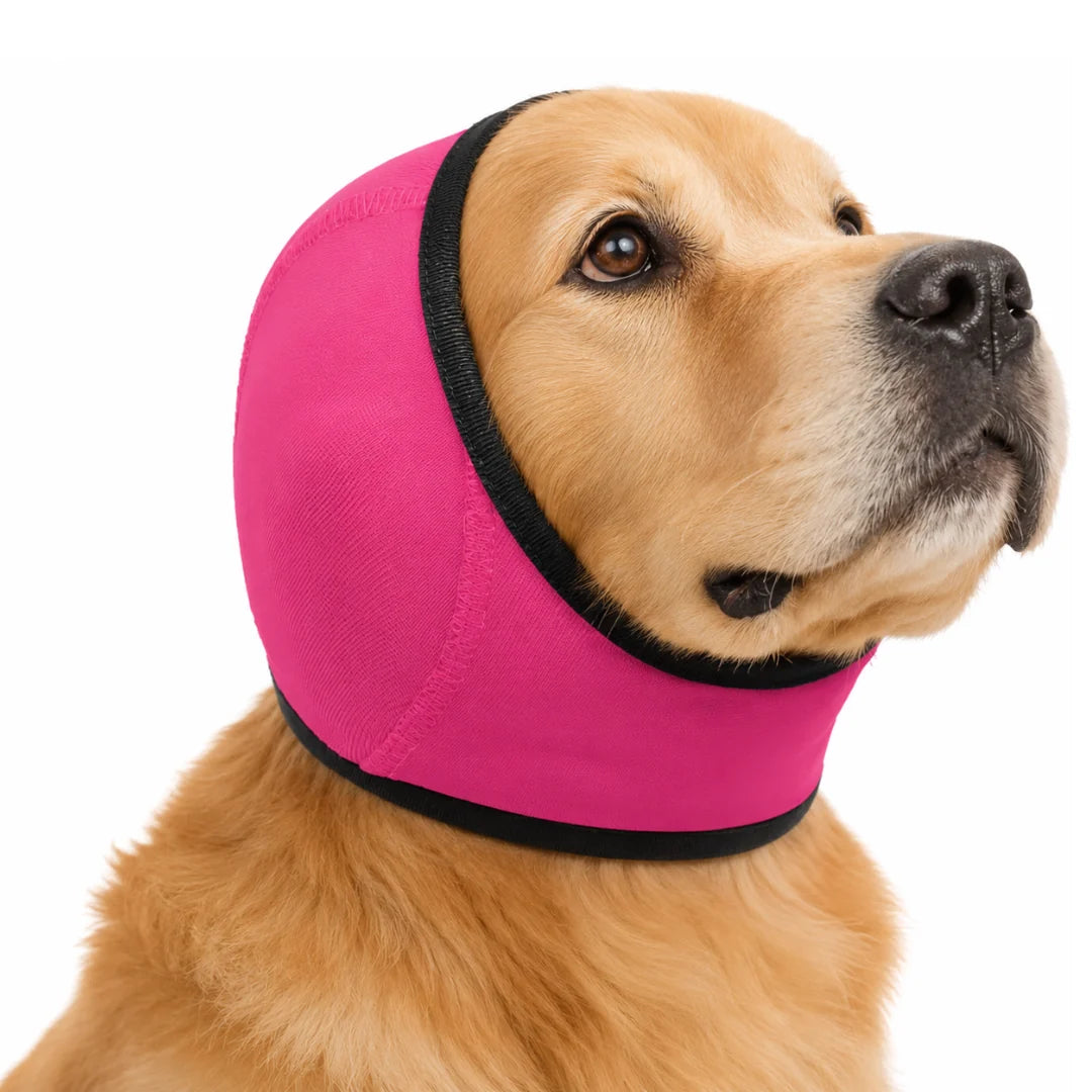 Dog Ear Wrap