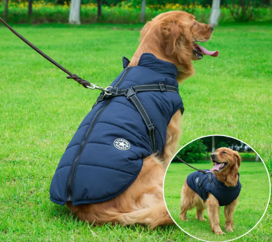 FrostGuard All-Weather Dog Jacket