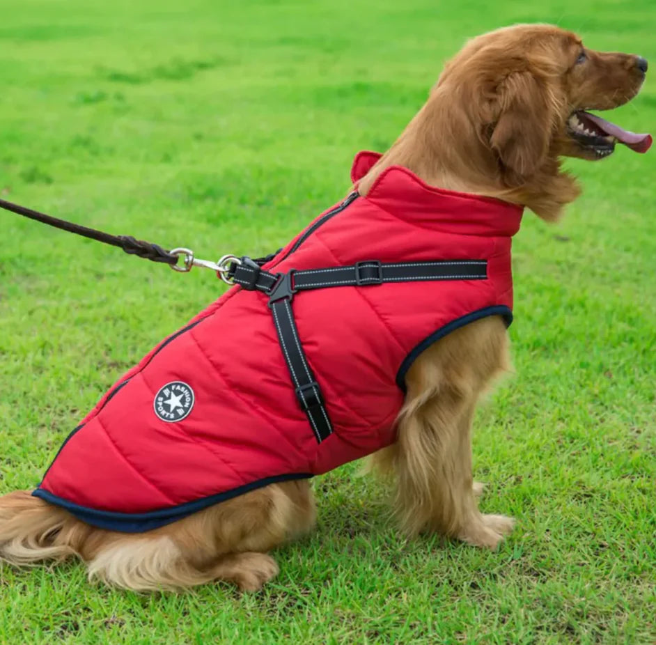 FrostGuard All-Weather Dog Jacket