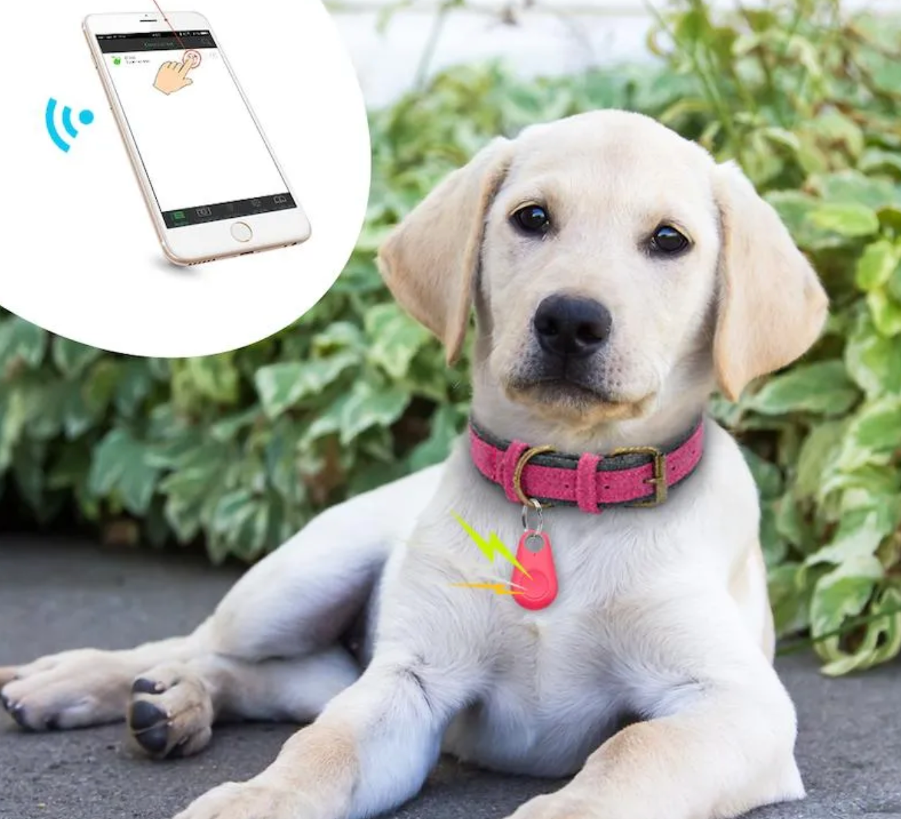 PetTrack Pro GPS Tracker
