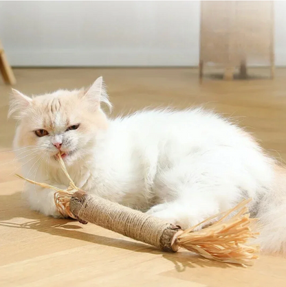 FelineFresh Dental Sticks