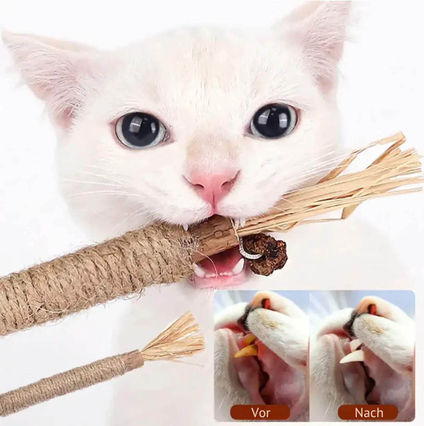 FelineFresh Dental Sticks