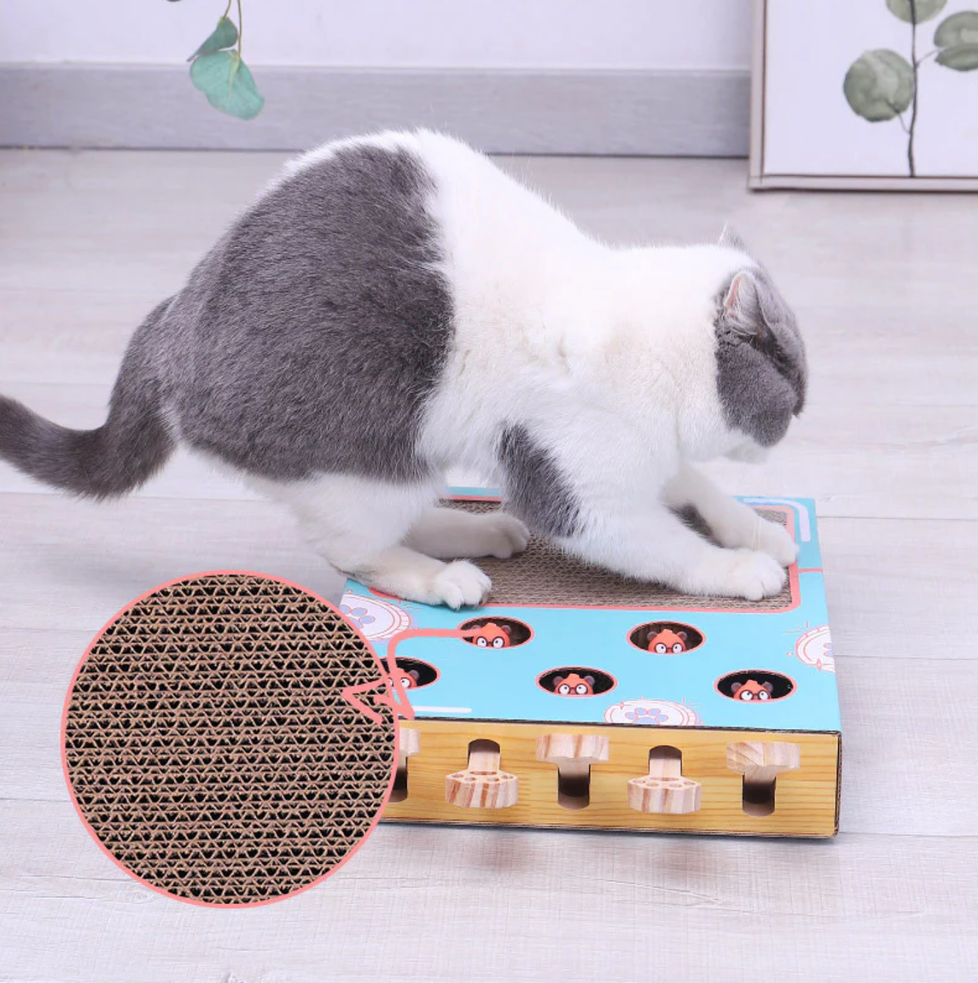FelineQuest Adventure Box