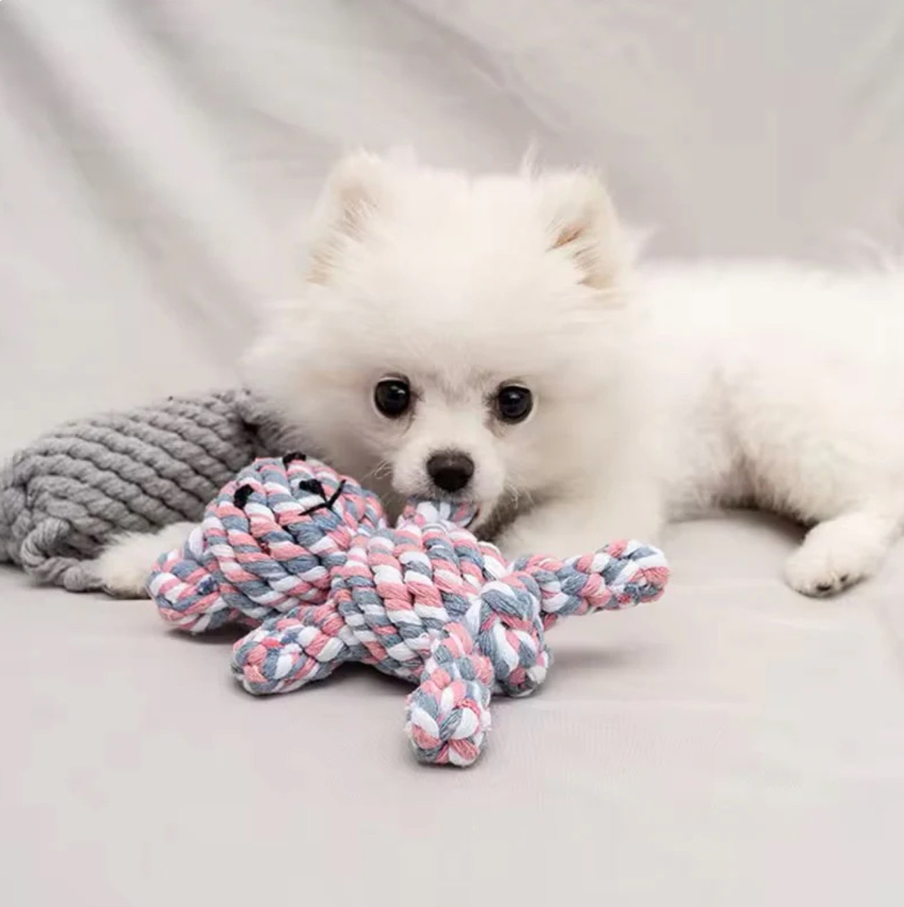 ToughCuddle Durable Dog Plush