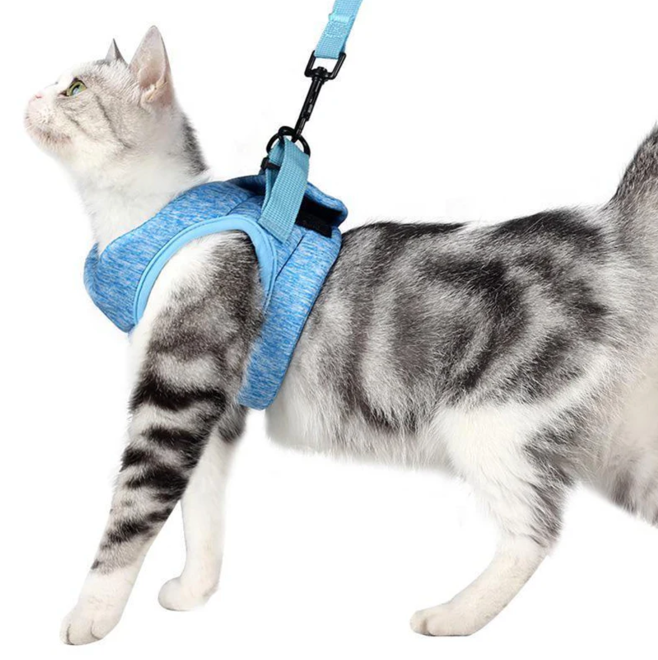 SafeStride Cat Harness & Leash Set