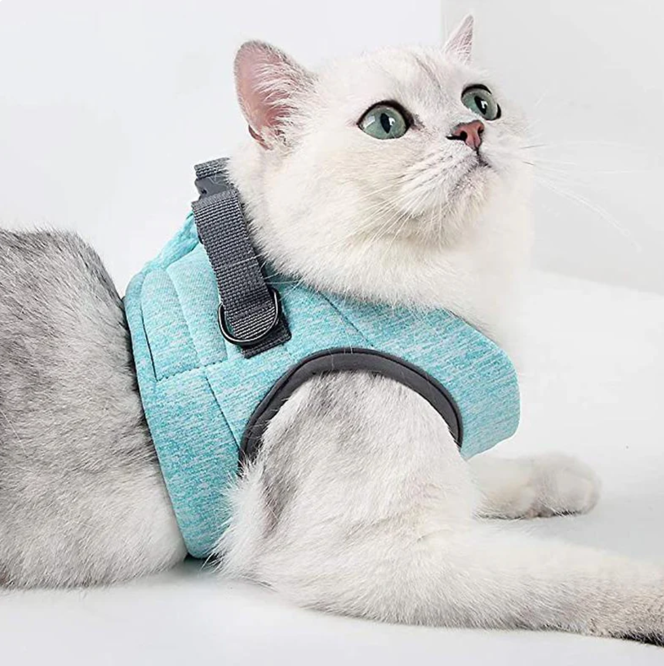 SafeStride Cat Harness & Leash Set