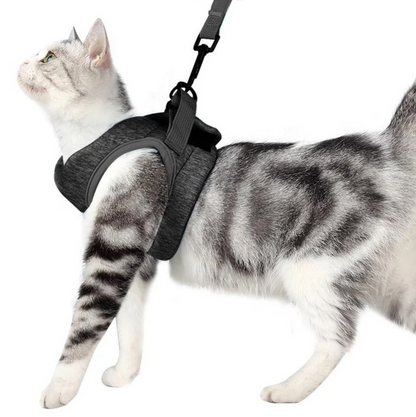 SafeStride Cat Harness & Leash Set