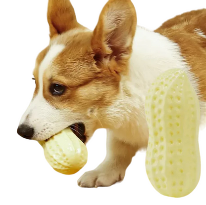 NutriChew Peanut Power Toy