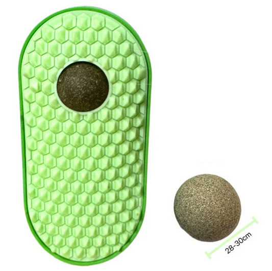 CatZenith Groom & Nibble Brush