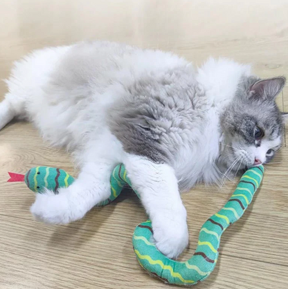 CatnipCatcher Play Snake