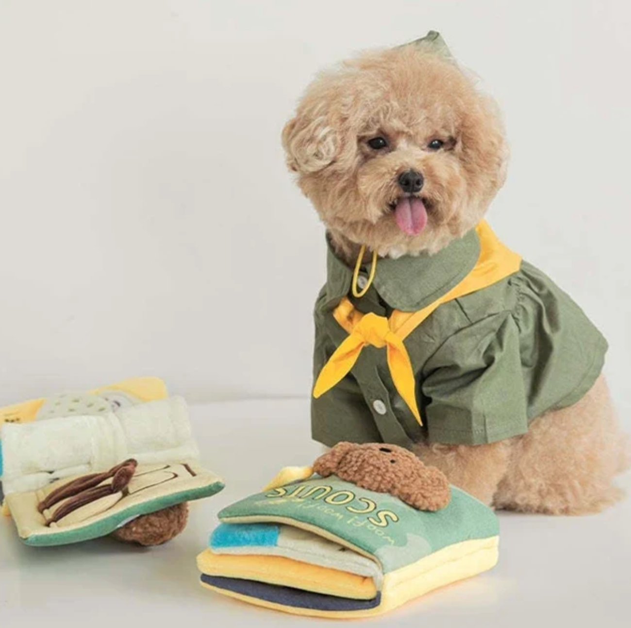 SniffSmart Interactive Dog Snuffle Book