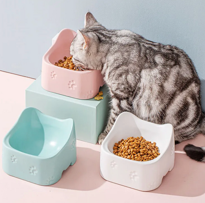 ComfortBowl Premium Cat Feeder