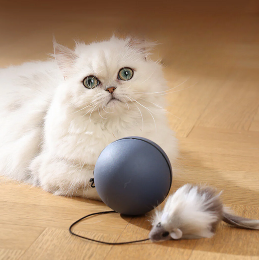 TailChase Smart Cat Ball