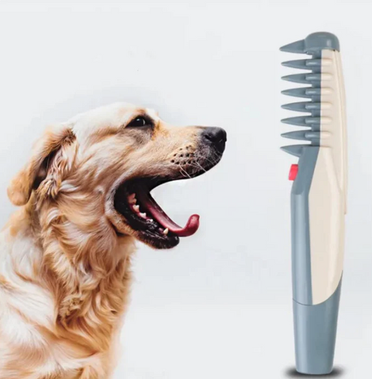 GroomShine Pro Pet Clipper