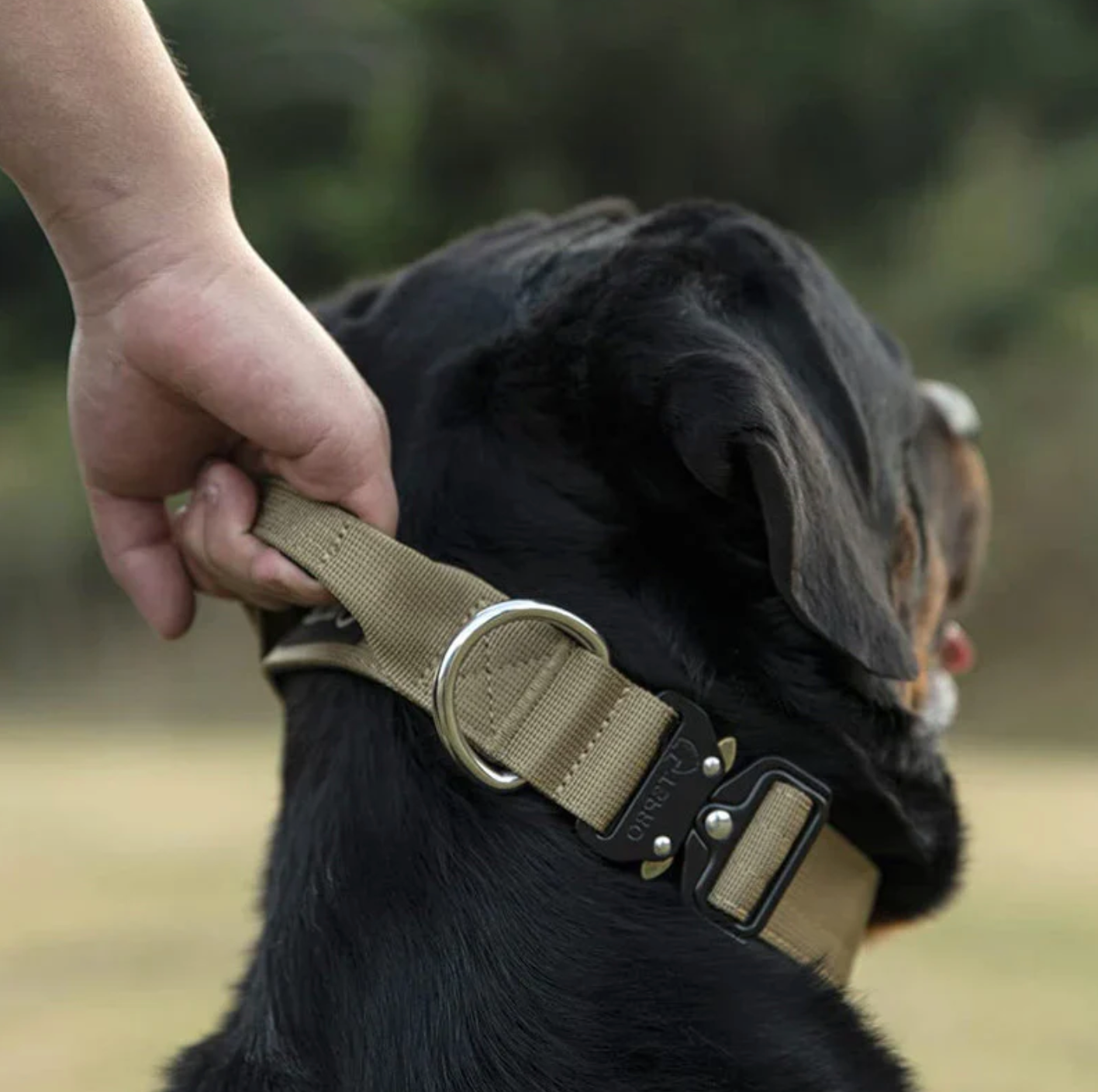 CommandGrip Tactical Dog Collar