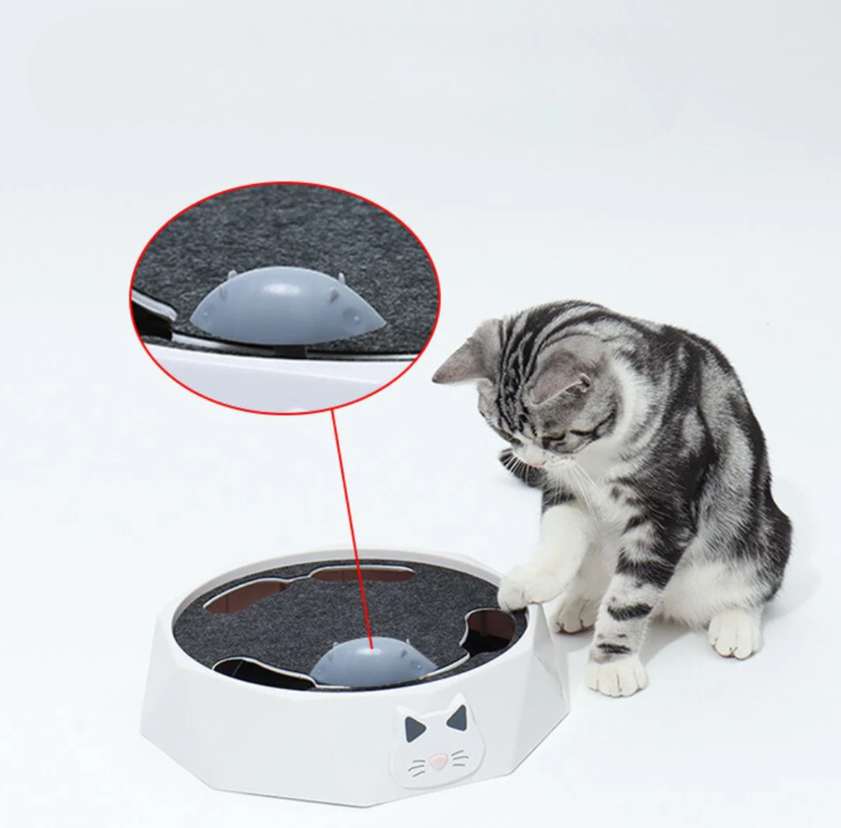 HuntPlay Hide & Seek Mouse Game