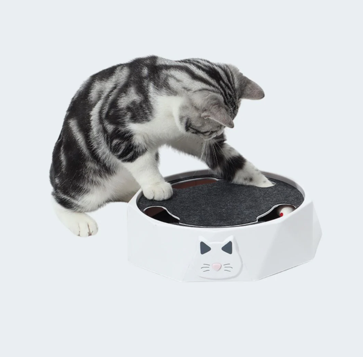 HuntPlay Hide & Seek Mouse Game