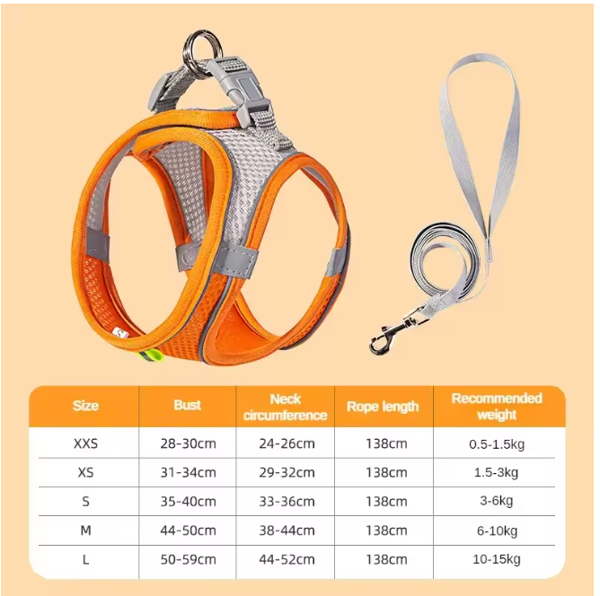 PuppyFlex Adjustable Harness & Leash Set