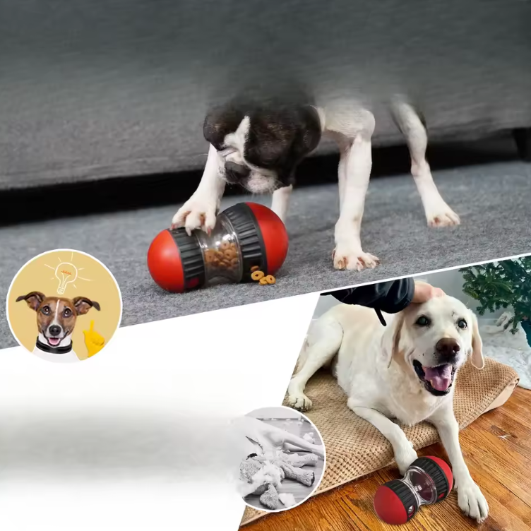 SmartFeed Puzzle Dog & Cat Toy