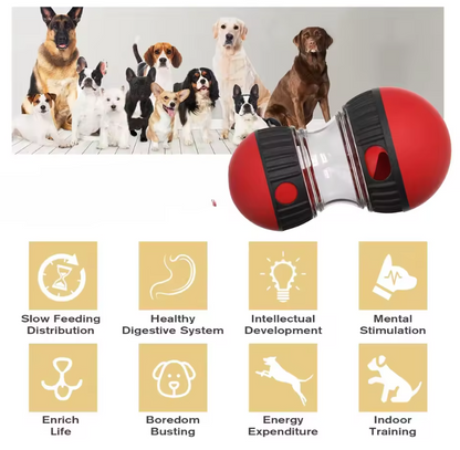 SmartFeed Puzzle Dog & Cat Toy