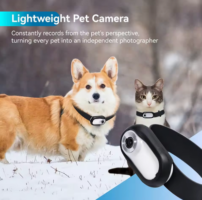 PawView HD Pet Collar Action Camera