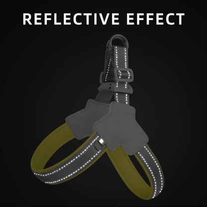 AeroStride No-Pull Safety Harness