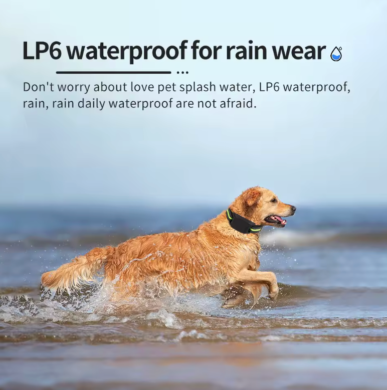 Smart Training Collar