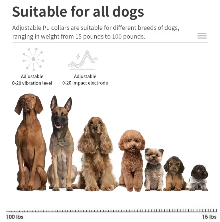 Smart Training Collar