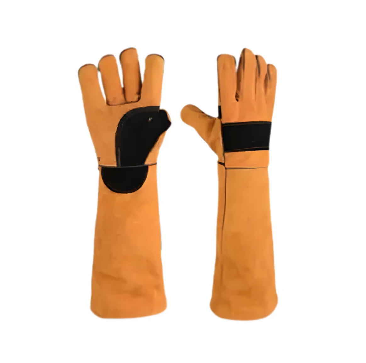 BiteShield Interactive-Chew