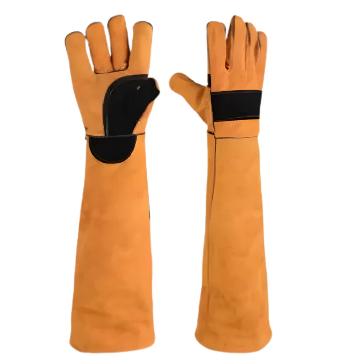 BiteShield Interactive-Chew