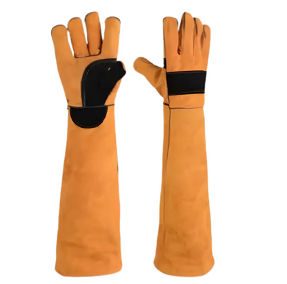 BiteShield Interactive-Chew