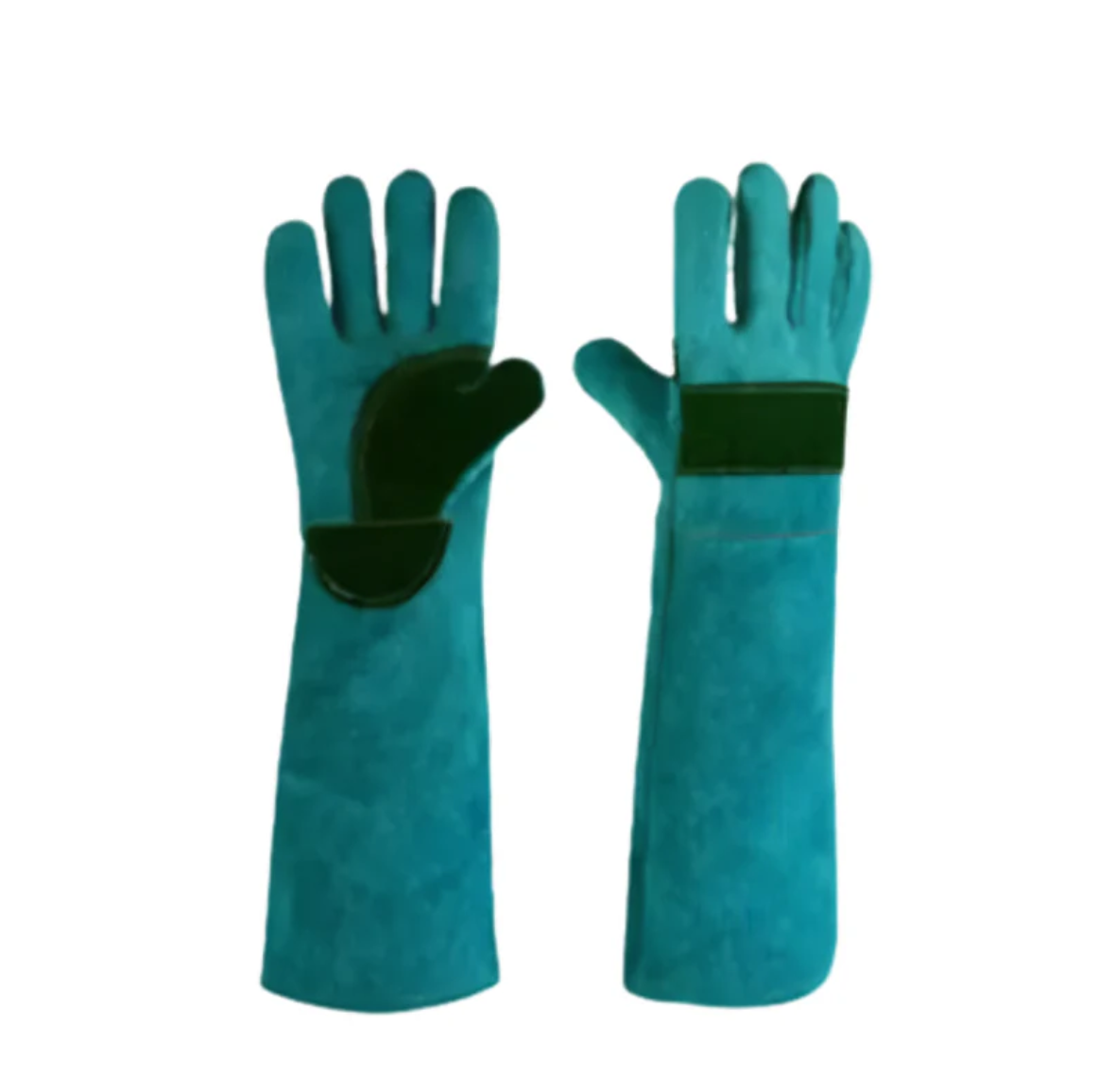 BiteShield Interactive-Chew