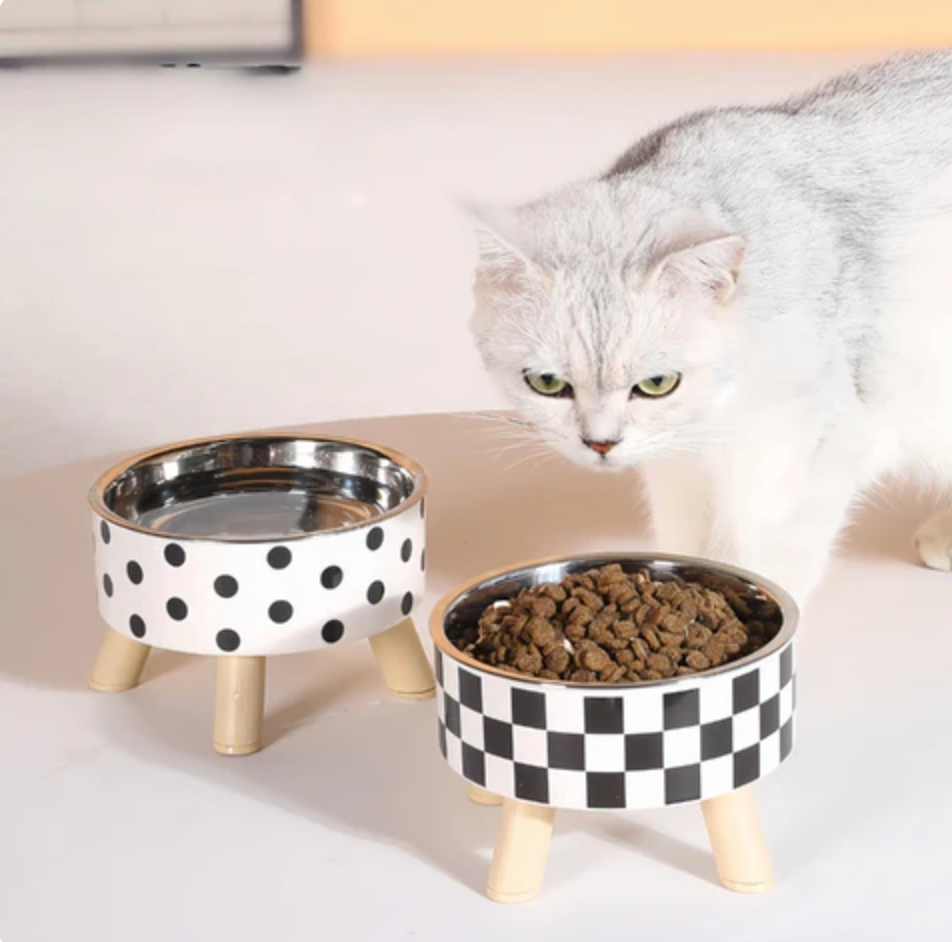 Apex-Aura Elevated Bowl