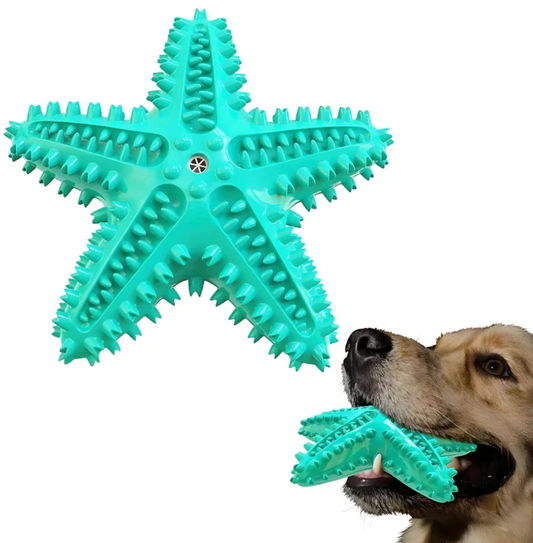 AquaStar Floating Dog Chew Toy