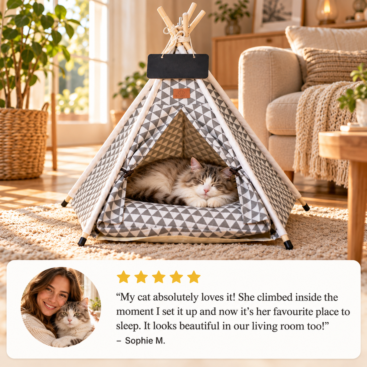 Pet Teepee with Cushion