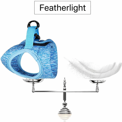SafeStride Cat Harness & Leash Set