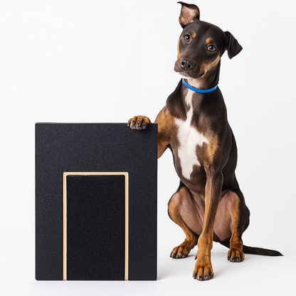 PawPlay – Treat Puzzle Board with Claw Care for Dogs