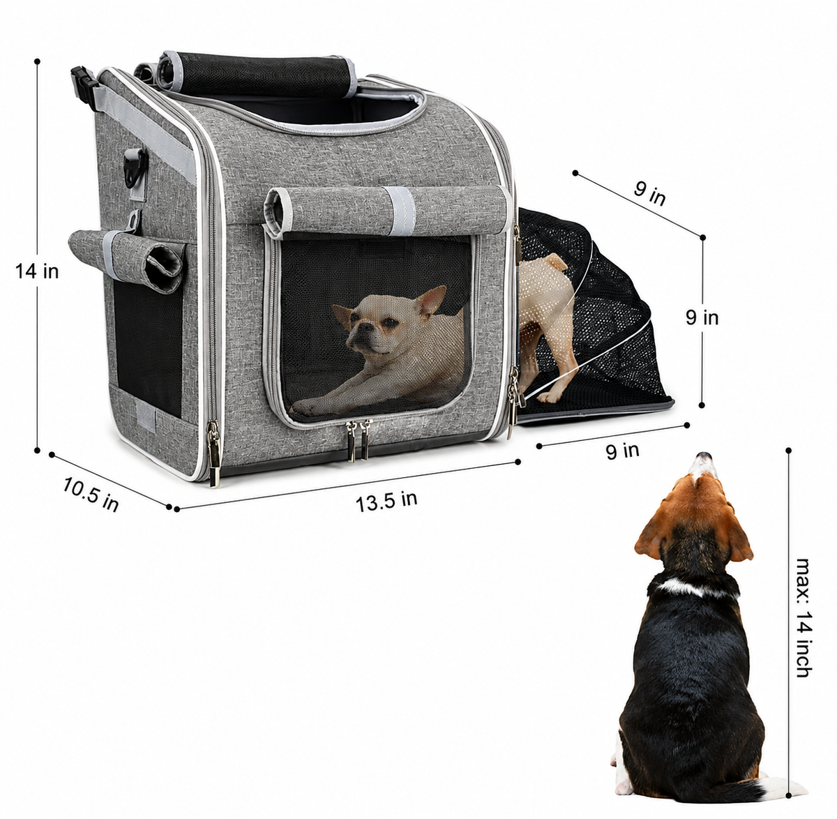 BikeBuddy 3-in-1 Pet Carrier
